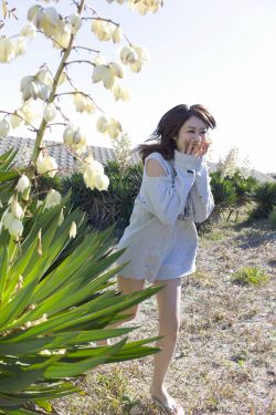 小镇疑云