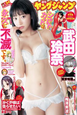 视频码率