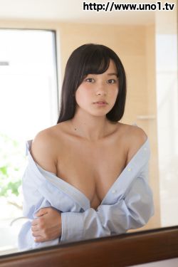 宠物恋人