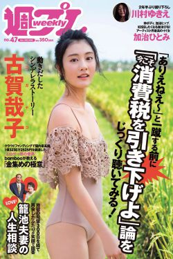 法兰西岁月