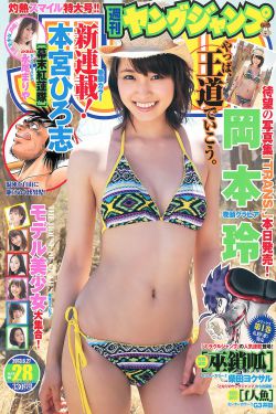 追梦高中