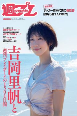 长风镖局 电视剧