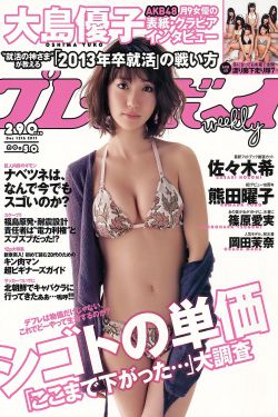 金蟾捕鱼