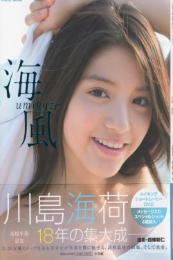 菊与刀