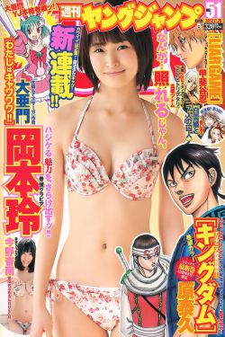 电视剧风筝1-46集完整版免费观看